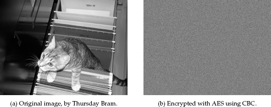 A picture of a cat in a filing cabinet. Unlike ECB, CBC obliterates much of the underlying structure.