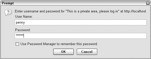 The password prompt for your local web server.