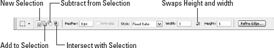 Selection tool options are displayed in the Options bar.