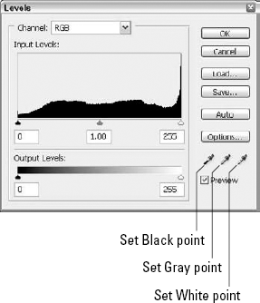 The Levels dialog box shows the tonal range for the image.