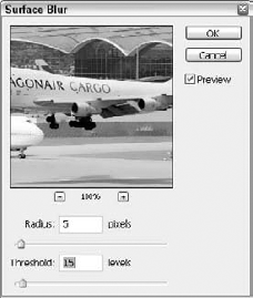 The Surface Blur dialog box blurs the image while preserving its edges.