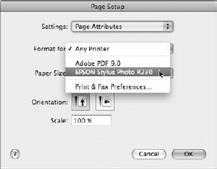 Photoshop, Dreamweaver, and Acrobat use the Page Setup dialog box.