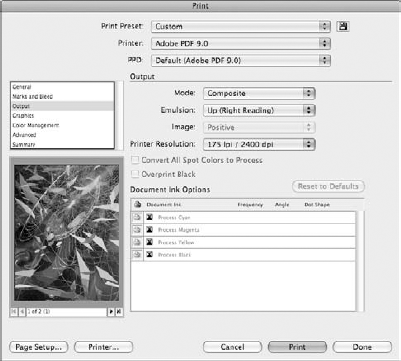 Click Output to open options for color and screening.