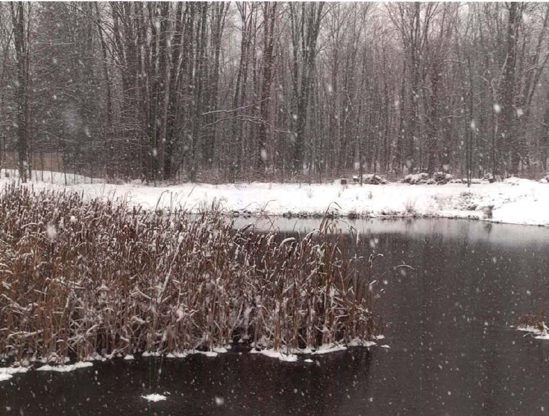 When the snow flies, I especially like 1/60 second for its ability to show the individual, crisp flakes of a snowstorm, as if a giant cereal box in the sky was pouring out its contents. A slower shutter speed like 1/15 second turns the flying flakes into streaks. Exposure at 1/60 second, fl8.