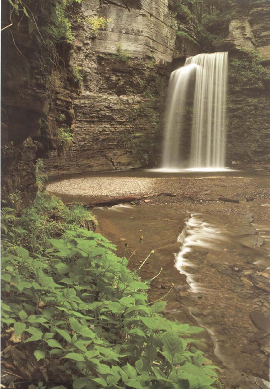 Slow shutter speeds turn the many distinct braids of a waterfall into a smooth and enticing ribbon of white. To minimize camera vibration, I used the camera's selftimer and Exposure Delay mode; the delay mode minimizes vibration-induced blur by not opening the shutter until about two seconds after the mirror inside the camera flips up. Exposure at 1/2 second, f/25.