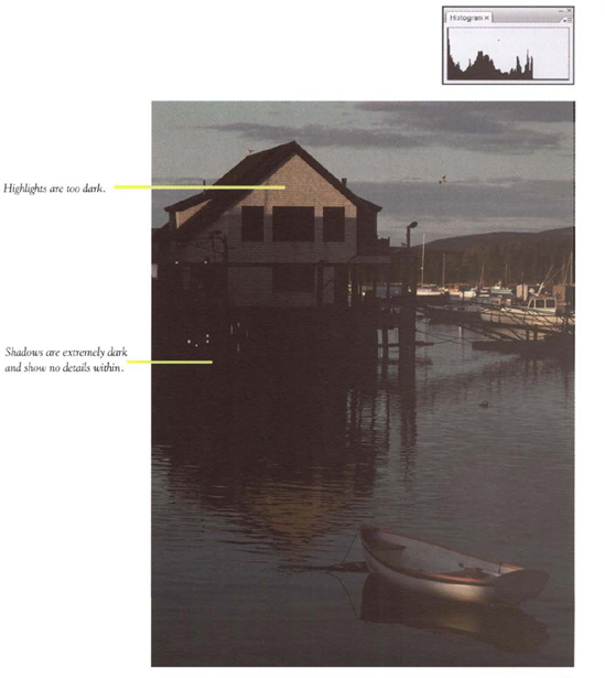 Histogram: This picture is underexposed as indicated by the tone "mountain" jammed against the extreme left edge of the histogram.