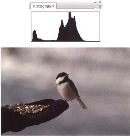 As this series of photos and accompanying histograms shows, the histogram that represents a good exposure depends on the subject.