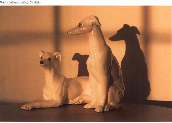 The orange rising sun illuminated these white ceramic greyhounds placed on a table opposite my open front door. The "Sunlight" white balance setting of the picture below most closely renders (he scene as it actually appeared. You can see hue different white balance settings affects the photo's appearance.