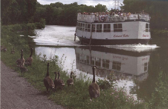 Choose the Shutter-Priority mode when you need a specific shutter speed to achieve the effect you want. Both the geese and the tour boat were moving. I didn't need a fast shutter speed, but I did want to show them sharp, so I set the shutter speed to 1/500 second (aperture f/8).