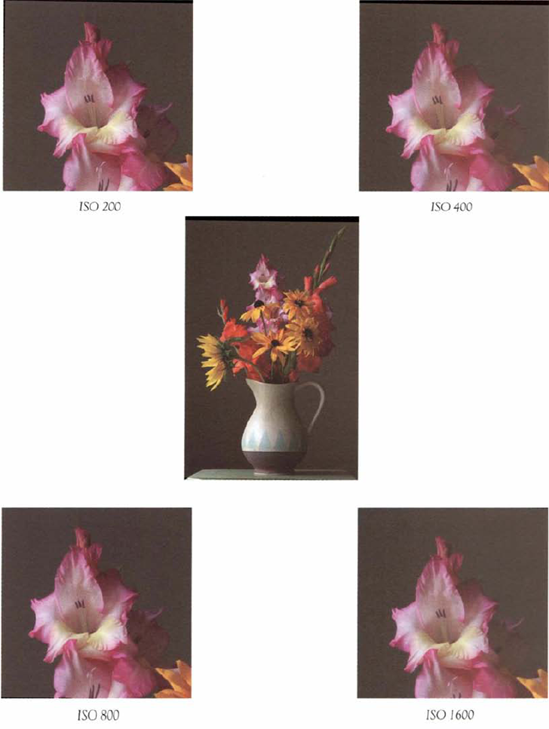 Notice how electronic noise (groups uf colored pixels that form splotches) increases at higher ISOs. Test your camera at different ISOs to find the highest ISO you an use without noise becoming a problem.