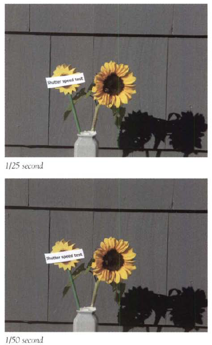 Personal shutter speed test while handholding an image-stabilized lens. Take a series of pictures at different shutter speeds as described in the text to determine the slowest shutter speed you can use to get a sharp picture.