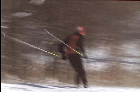 If you want to emphasize the motion-conveying blur that panning can create, avoid a plain and uniform background like a blue sky. Exposure at 1/20 second, f/6.