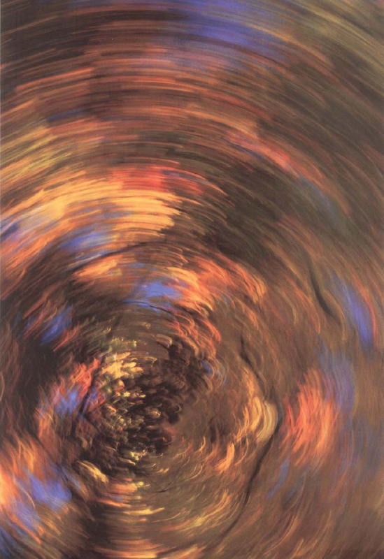 Under a canopy of autumn leaves, I set a slow shutter speed, pointed my camera overhead, and spun in a circle. Exposure at 1/13 second, f/16.