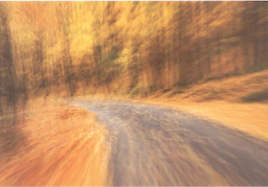 Country roads lined with trees tend themselves well to creative blur. Shutter speed 1/4 second, f/22. Car speed unknown.