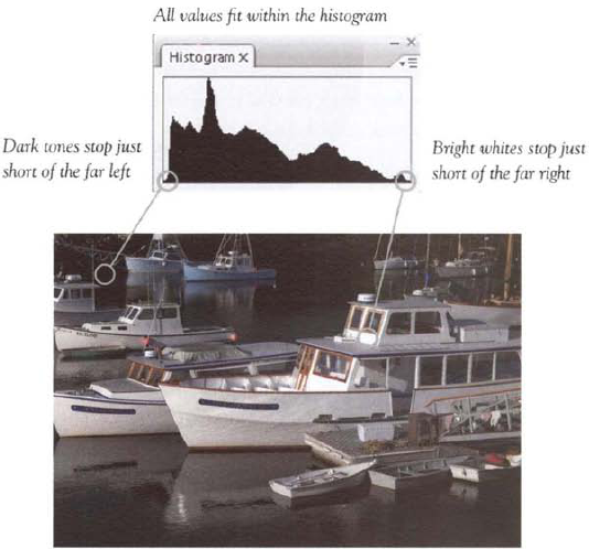 As this series of photos and accompanying histograms shows, the histogram that represents a good exposure depends on the subject.