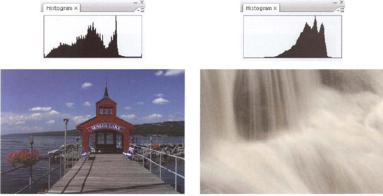 As this series of photos and accompanying histograms shows, the histogram that represents a good exposure depends on the subject.