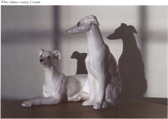 The orange rising sun illuminated these white ceramic greyhounds placed on a table opposite my open front door. The "Sunlight" white balance setting of the picture below most closely renders (he scene as it actually appeared. You can see hue different white balance settings affects the photo's appearance.