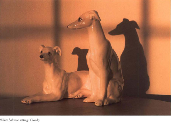 The orange rising sun illuminated these white ceramic greyhounds placed on a table opposite my open front door. The "Sunlight" white balance setting of the picture below most closely renders (he scene as it actually appeared. You can see hue different white balance settings affects the photo's appearance.