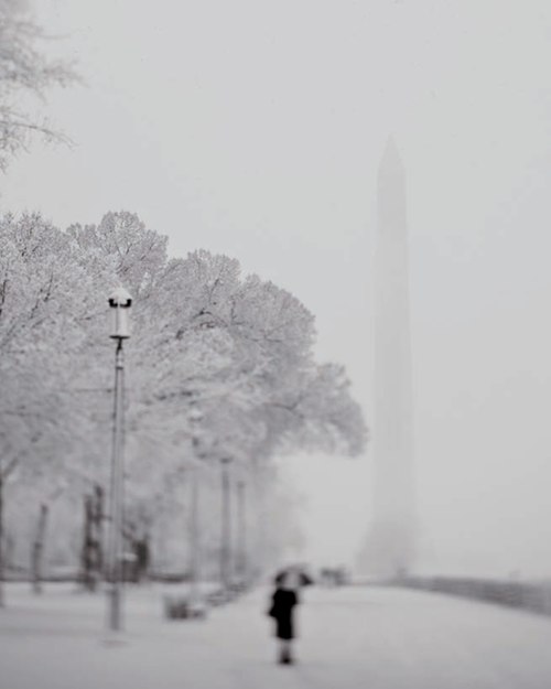 Looking east from the Mall on a day thick with snow (see G on the map). Taken at ISO 200, f/4, 1/800 second with a 90mm tiltshift lens.