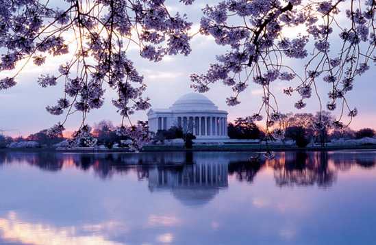 An early morning view of the Jefferson Memorial surrounded by cherry blossoms (see E on the map). Taken at ISO 200, f/22, 1/4 second with an 85mm lens and a tripod.