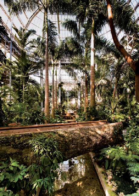 An interior view of the beautiful conservatory of the United States Botanic Garden. Taken at ISO 800, f/8, 1/60 second.