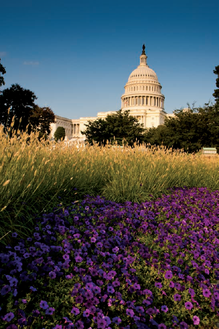 The Capitol from Garfield Circle. Taken at ISO 320, f/13, 1/100 second with a 35mm lens.