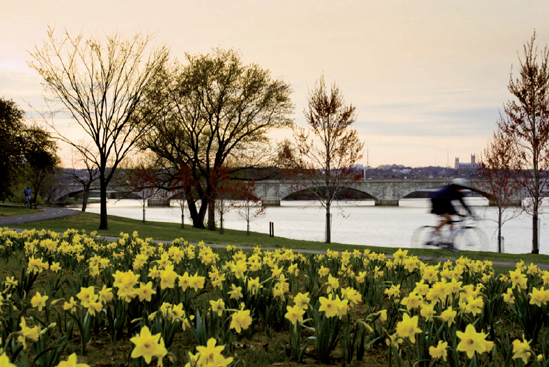 Arlington Memorial Bridge