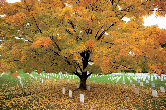 Arlington National Cemetery