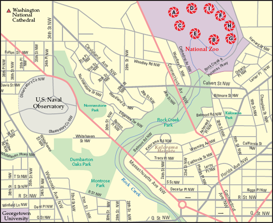 The best locations from which to photograph the National Zoo: (A) African Savanna, (B) Amazonia, (C) Asia Trail, (D) Asian Elephants, (E) Bird House, (F) The Great Ape House and The O Line, (G) Great Cats, (H) Invertebrates, and (I) Small Mammal House.