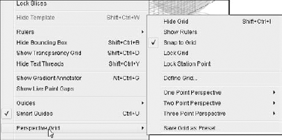 Customize settings for the perspective grid by using the View menu.