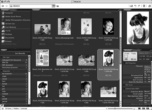 Viewing document thumbnails from within Adobe Bridge.