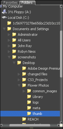 Use the Folders panel to navigate through your files.