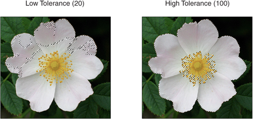 Use higher tolerances to select a wider range of colors.