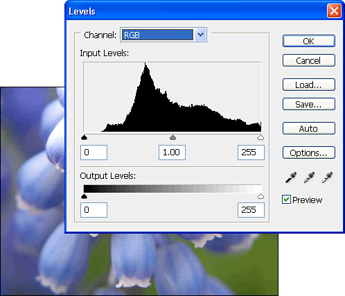 The Levels setting shows the levels within each channel of the image.