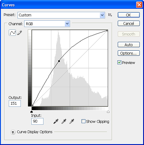 The grid represents your image, with shadows in the lower left and highlights in the upper right.