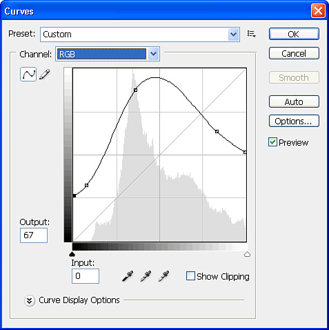 Using curves provides fine-tuned control over your image.