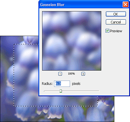 The Blur filter softens images and can be used for effect or to clean up harsh edges and patterns.