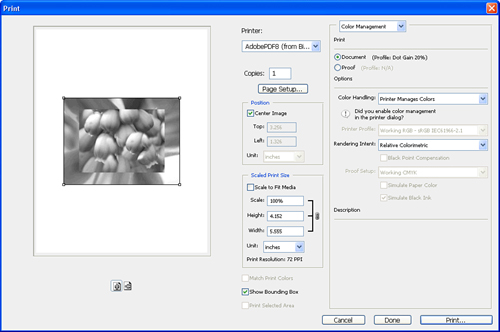 The Photoshop Print dialog box gives you many controls over the output.