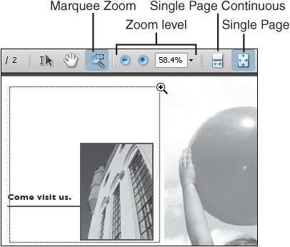 Use the Marquee Zoom tool to zoom in and out.