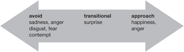 FIGURE 1.4 Core emotional motivators.