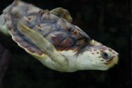 National Aquarium