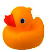 images/RubberDucky.png