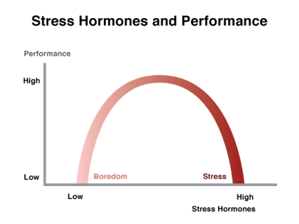 stress_hormones.png