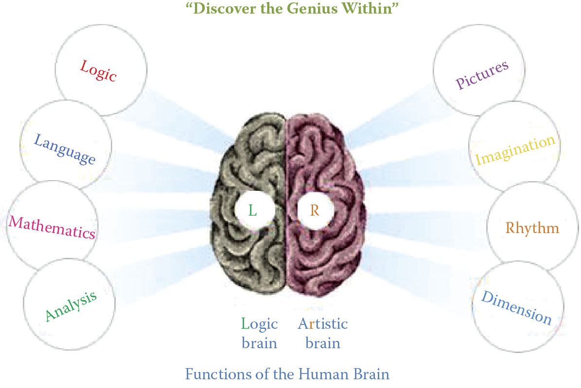 Image of Generalized differences between main parts of the brain