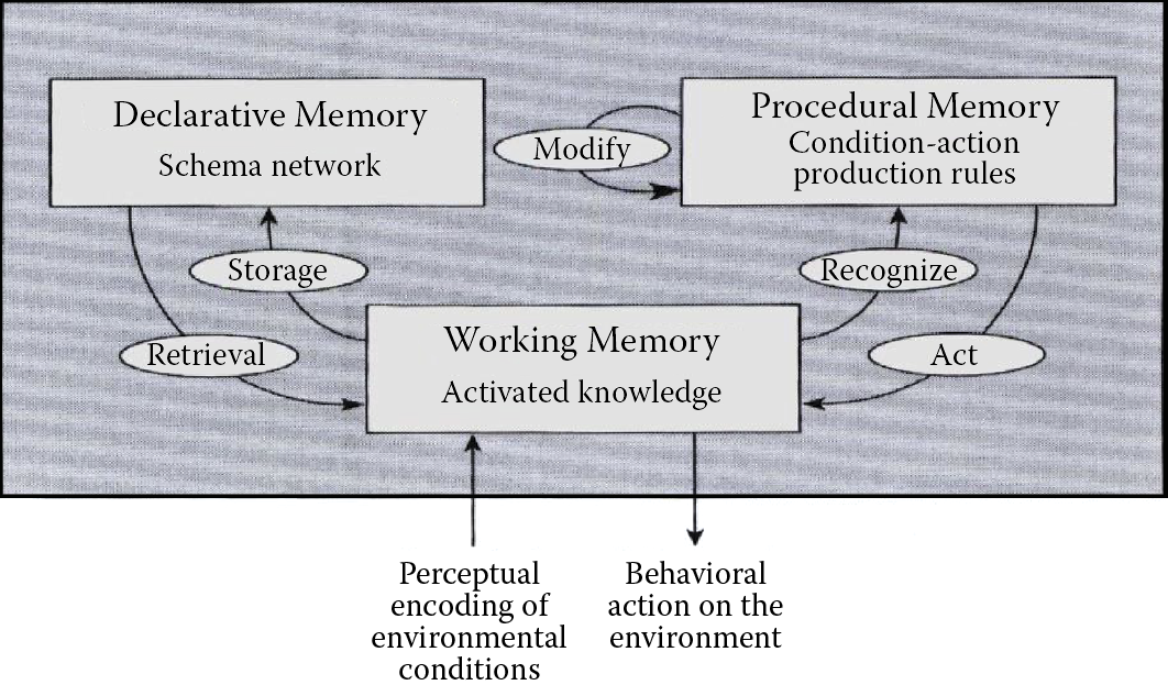 Image of Different types of memories in human cognitive processes