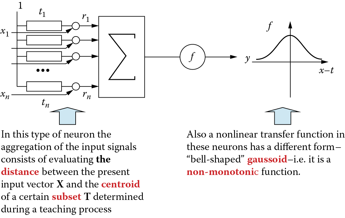 Image of Structure and peculiar properties of radial neuron