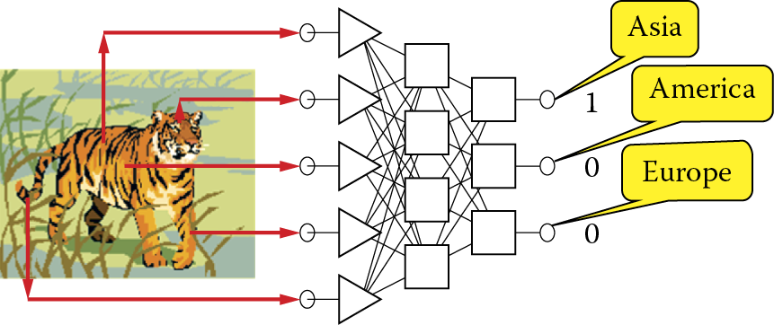 Image of Ideal situation: output of a network producing nominal variable