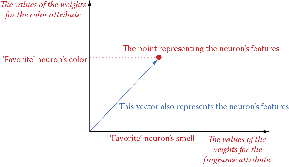 Image of Representation of neuron features as point and vector in attribute space