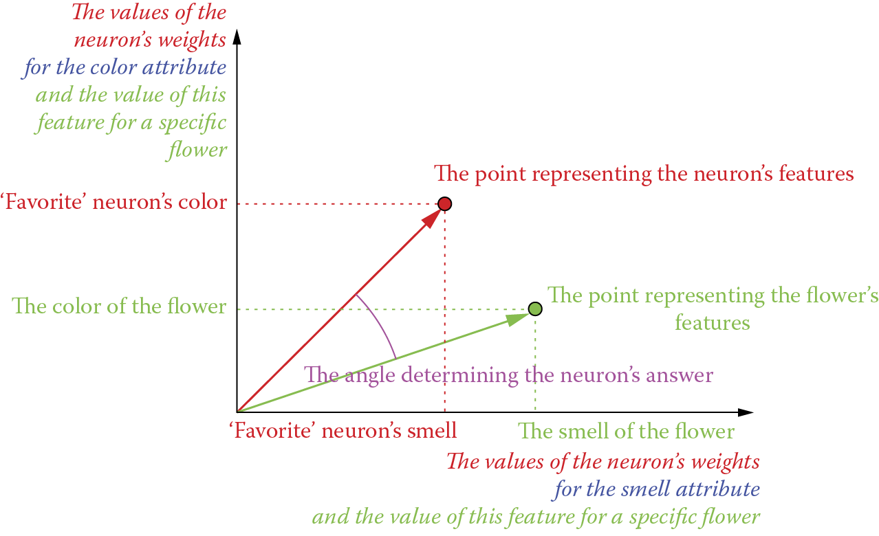 Image of Mutual position of weights vector and input signal vector as factors determining value of neuron response