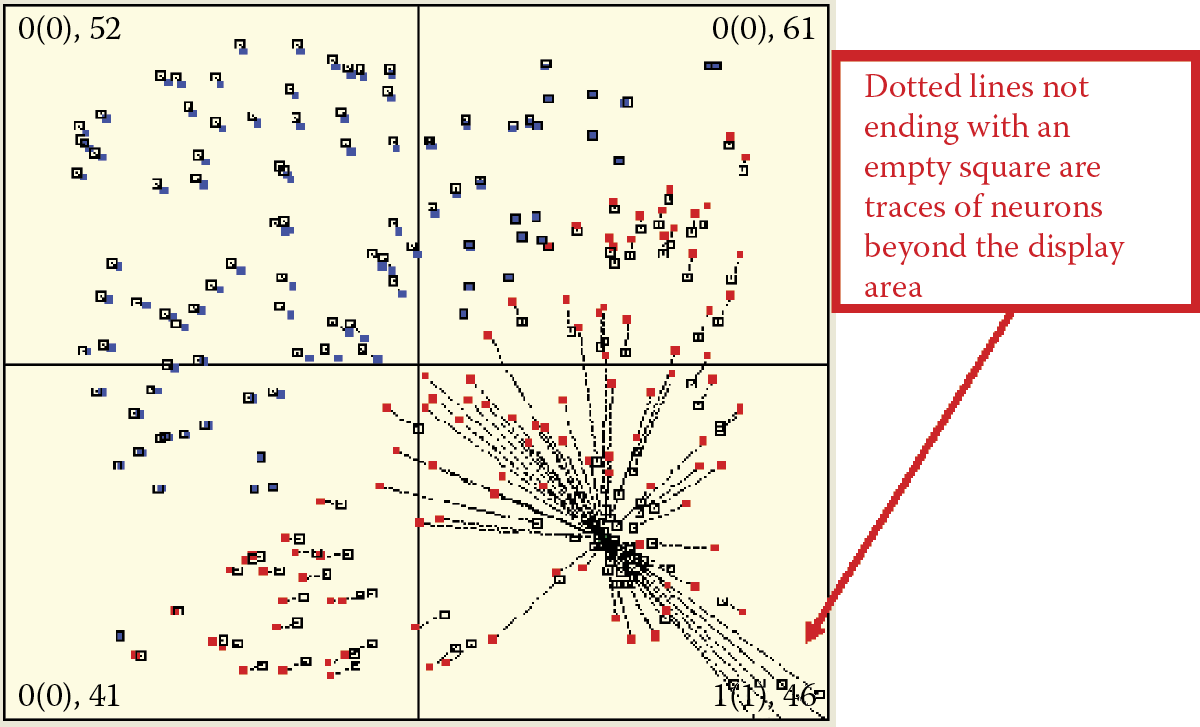 Image of Effect of neuron escape in initial stage of self-learning